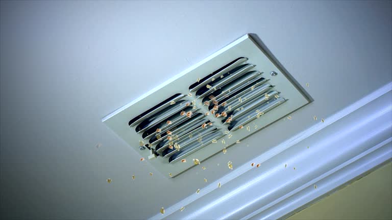 Best HVAC Duct Inspection Services  in Sneedville, TN