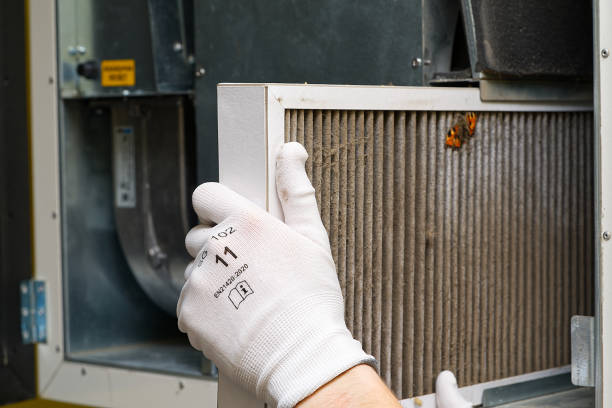 Best HVAC Maintenance and Cleaning  in Sneedville, TN