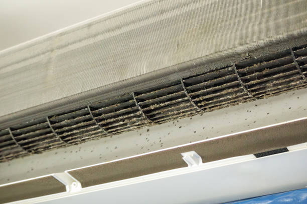 Best Air Duct Cleaning Near Me  in Sneedville, TN