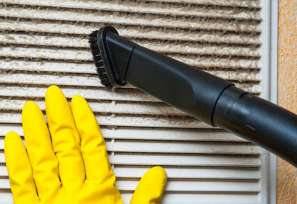 Best Air Duct Cleaning Near Me  in Sneedville, TN