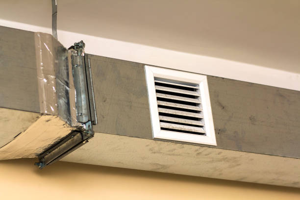 Best Home Air Vent Cleaning  in Sneedville, TN